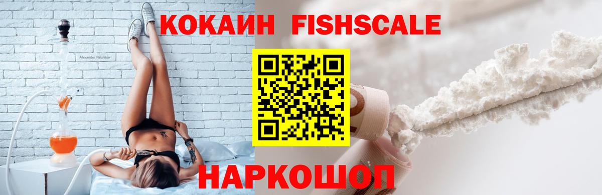 Cocaine FishScale  Вход с VPN  Шуя  Cocaine Fish Scale 
