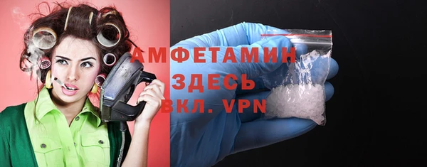 мет Алексин