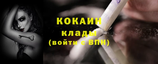 хмурый Абаза