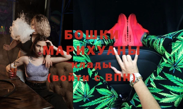 мет Алексин