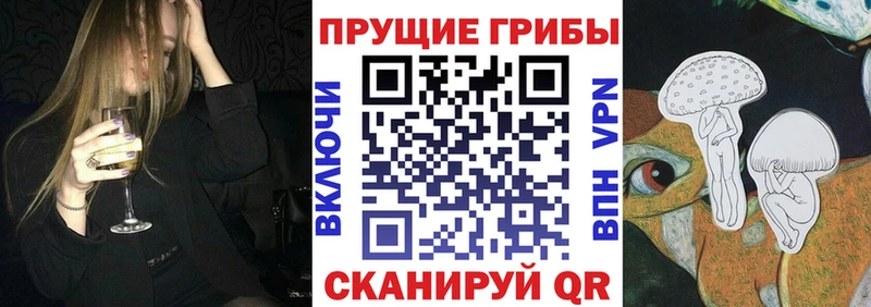 Псилоцибиновые грибы GOLDEN TEACHER  Шуя 