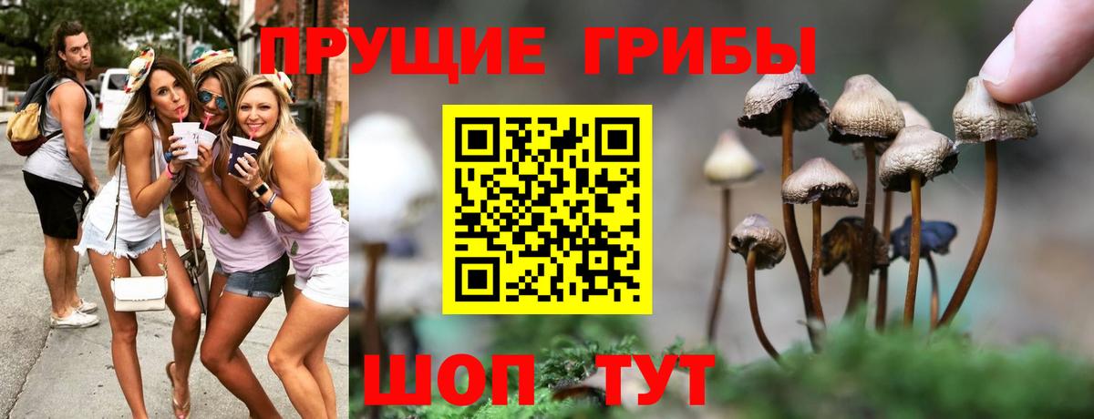 Галлюциногенные грибы Cubensis Шуя