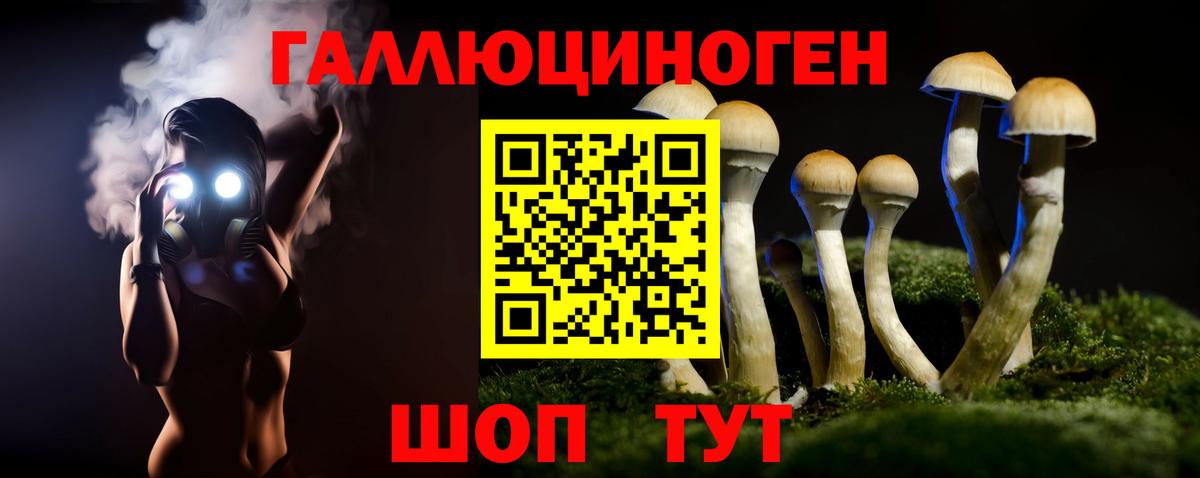 Псилоцибиновые грибы мицелий  Вход с VPN  Псилоцибиновые грибы Psilocybe  Шуя 
